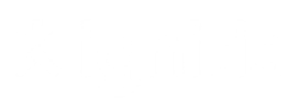 Ignitis logo - white